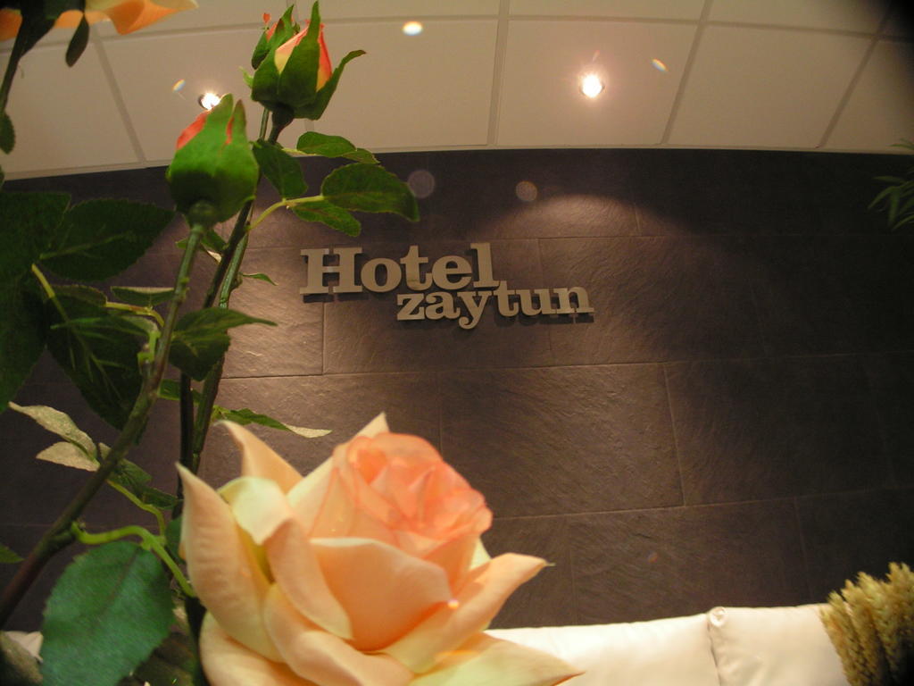 Hotel Zaytun Mequinenza Bagian luar foto